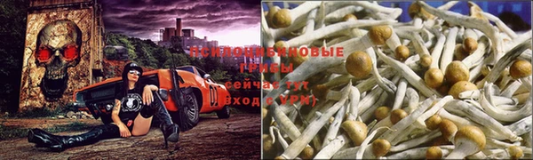 а пвп мука Баксан