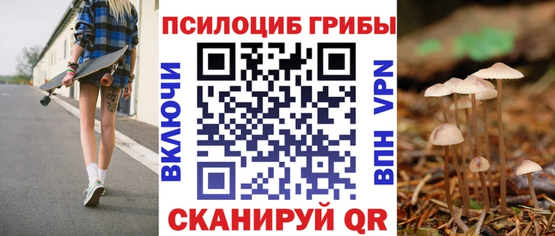 купить наркоту Нерюнгри Псилоцибиновые грибы MAGIC MUSHROOMS
