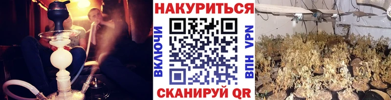 Каннабис план  закладка  Нерюнгри 